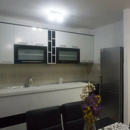 Apartman Stasa 2 公寓 *